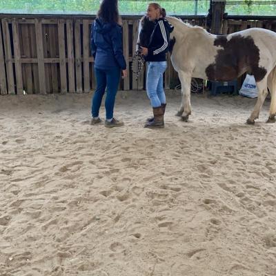  rond de longe couvert en cas de pluie 