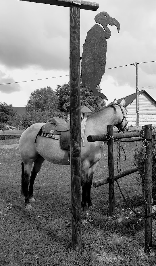 vegas ranch noir et blanc